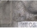 CAJA CAMBIOS EGS 
