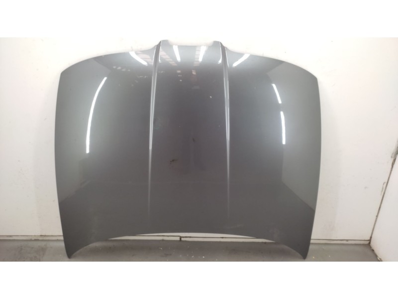 Recambio de capot para seat toledo ii (1m2) 1.9 tdi referencia OEM IAM  1M0823033D 
