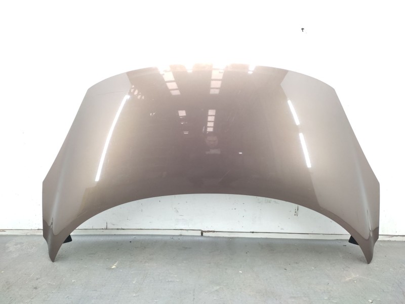 Recambio de capot para renault scénic iii (jz0/1_) 1.4 16v (jz0f, jz1v) referencia OEM IAM   