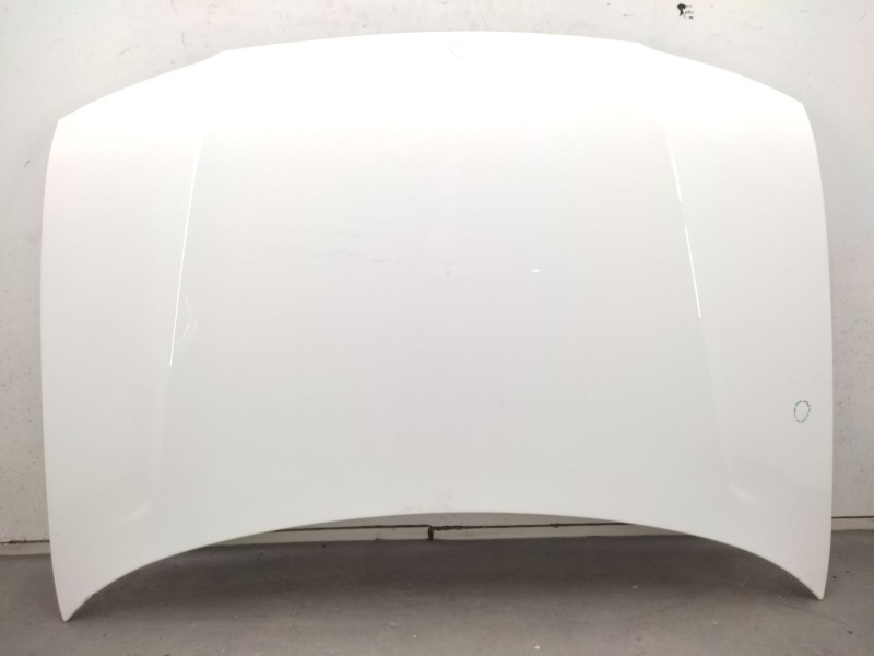 Recambio de capot para citroën berlingo / berlingo first monospace (mf_, gjk_, gfk_) 1.9 d (mfwjz) referencia OEM IAM  7901G0 