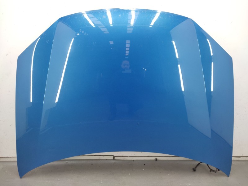 Recambio de capot para volkswagen golf v (1k1) 1.9 tdi referencia OEM IAM   