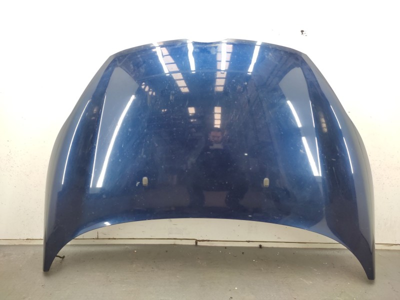 Recambio de capot para ford fiesta vi (cb1, ccn) 1.25 referencia OEM IAM  1774791 