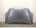 CAPOT 60100S6DE00ZZ 