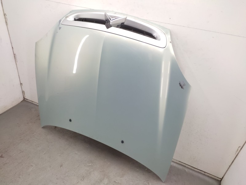 Recambio de capot para citroën xsara (n1) 2.0 hdi 90 referencia OEM IAM  7901J1 