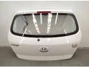 PORTON TRASERO 737004P560 