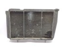 RADIADOR AGUA 7701348798 