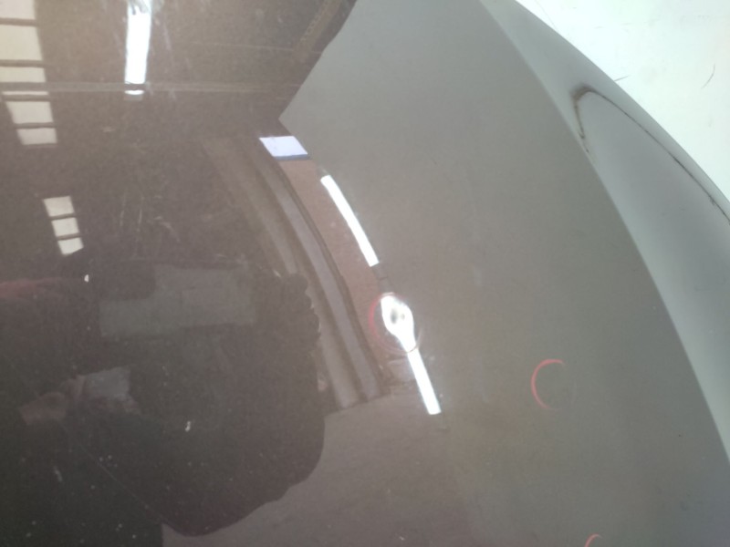 Capot 5e0823031  - Skoda Octavia Iii (5e3, Nl3, Nr3) 1.6 Tdi 4