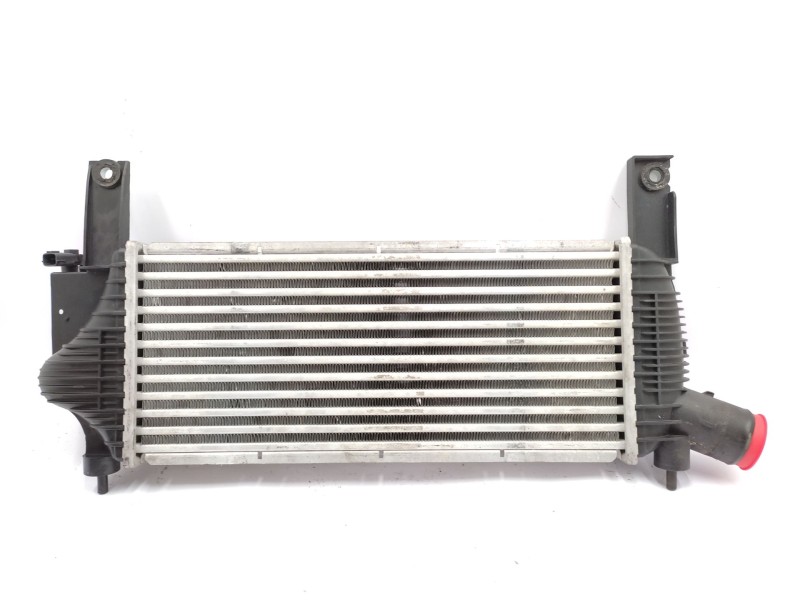 Recambio de intercooler para nissan pathfinder iii (r51) 2.5 dci referencia OEM IAM   