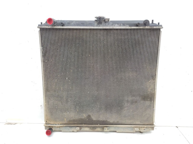 Recambio de radiador agua para nissan pathfinder iii (r51) 2.5 dci referencia OEM IAM   