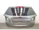 PORTON TRASERO 737002P020 