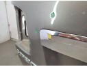 PORTON TRASERO 737002P020 