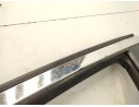 PUERTA DELANTERA IZQUIERDA H010A1BABA 