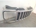 CALANDRA DELANTERA DE RADIADOR 55157218AB 55157218AC 