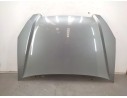 CAPOT 60100S9A000ZZ 