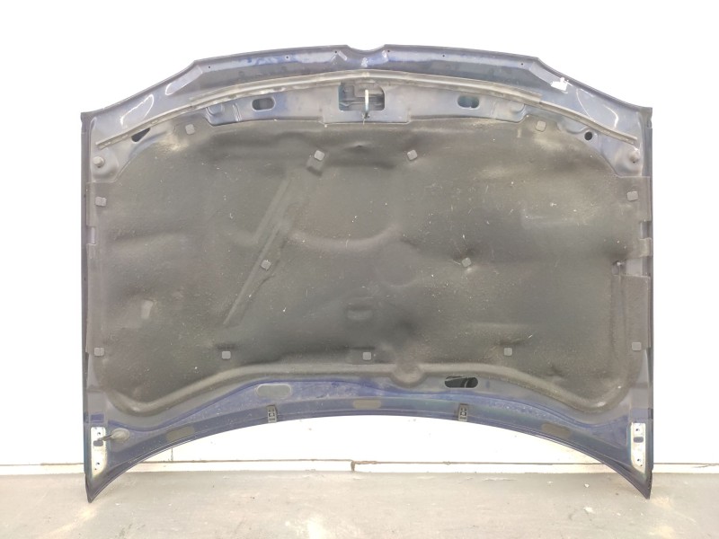 Recambio de capot para volkswagen golf iv (1j1) 1.9 tdi referencia OEM IAM   