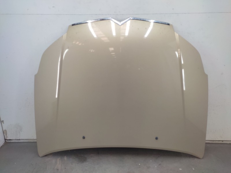Recambio de capot para citroën c5 ii (rc_) 2.0 hdi (rcrhrh) referencia OEM IAM   