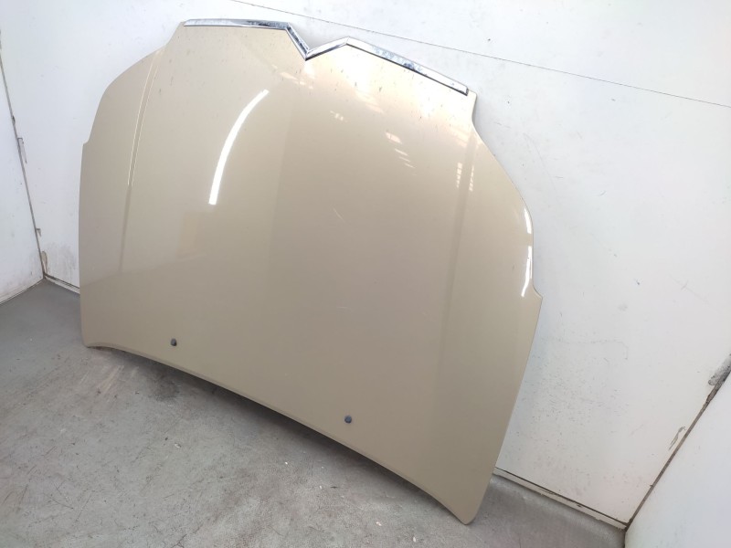 Recambio de capot para citroën c5 ii (rc_) 2.0 hdi (rcrhrh) referencia OEM IAM   