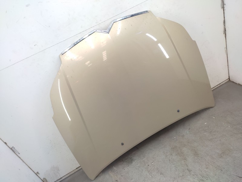 Recambio de capot para citroën c5 ii (rc_) 2.0 hdi (rcrhrh) referencia OEM IAM   