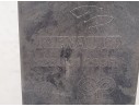 PANEL FRONTAL 625001299R 