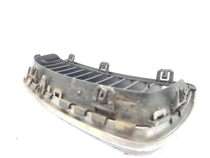 Rejilla Delantera 7120007 51137120007  - Bmw Serie 3 Berlina (e90) 320d 2