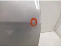 PUERTA DELANTERA DERECHA 