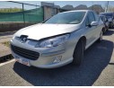 PEUGEOT 407 (6D_)