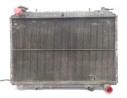 RADIADOR AGUA 214109C602 