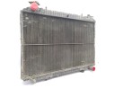 RADIADOR AGUA 214109C602 