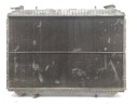 RADIADOR AGUA 214109C602 