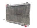 RADIADOR AGUA 214109C602 