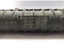 RADIADOR AGUA 214109C602 