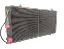 RADIADOR AGUA 7700796411 