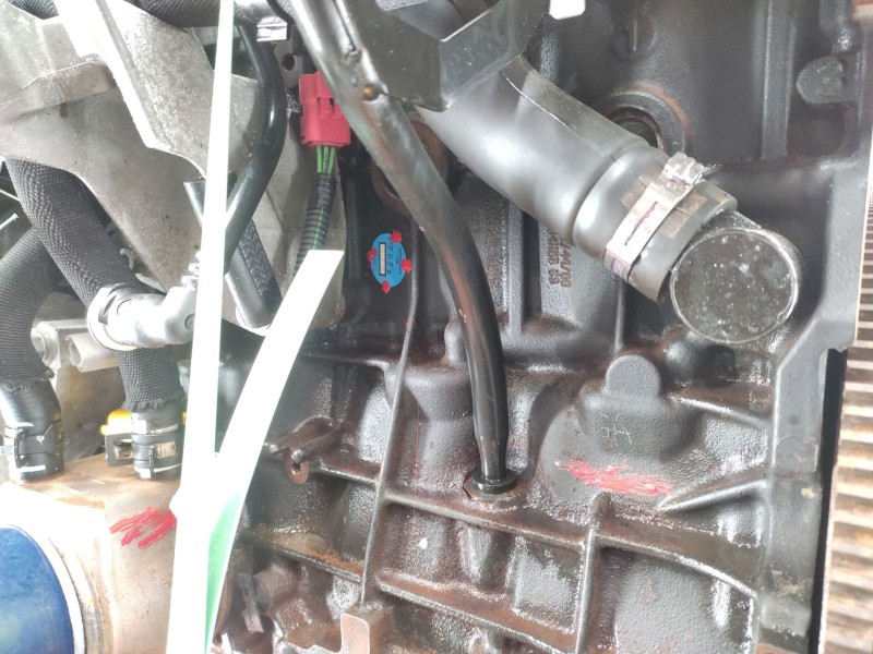 Motor Completo Rhy  - Citroën Xsara Picasso (n68) 2.0 Hdi 11