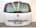 PORTON TRASERO 901006104R 
